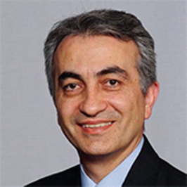 Mahmood K Razavi, MD, MS, FSIR, FSVM